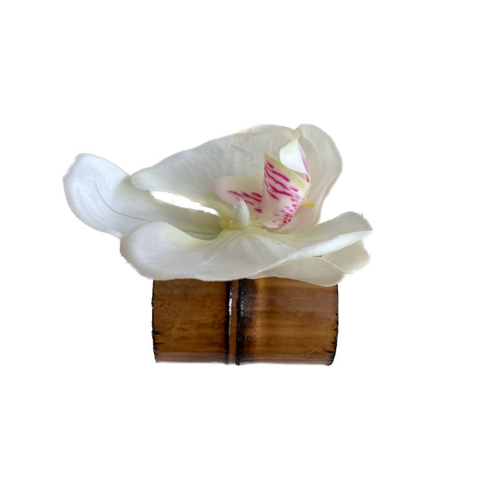 Bambu & Orquídea